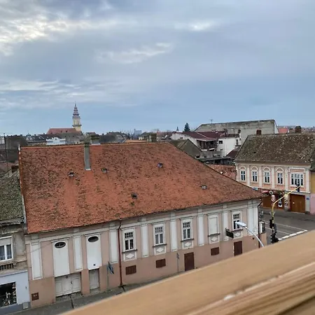 Vlasic Centar Apartman *