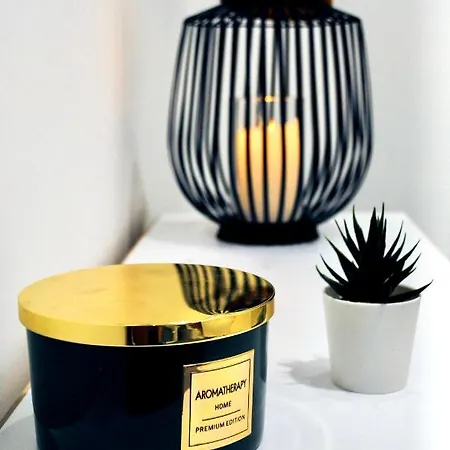 Vlasic Centar 公寓 弗尔沙茨