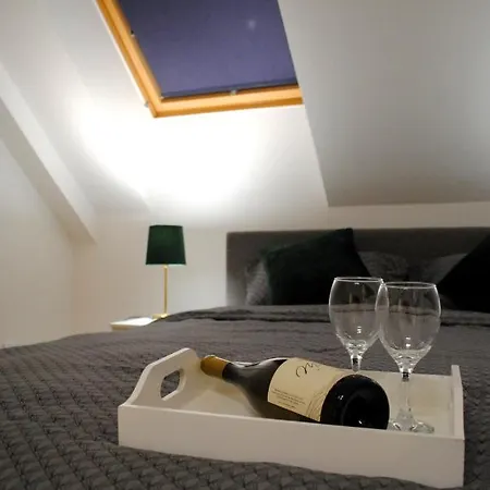 Vlasic Centar Apartman *