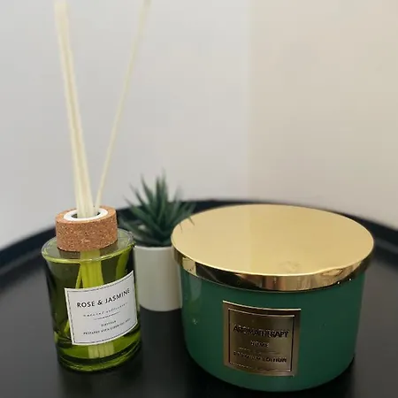 Vlasic Centar 公寓 弗尔沙茨