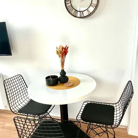 Vlasic Centar Apartment Vrsac