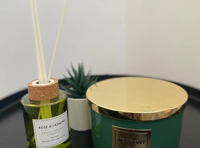 Vlasic Centar Apartament Vrsac